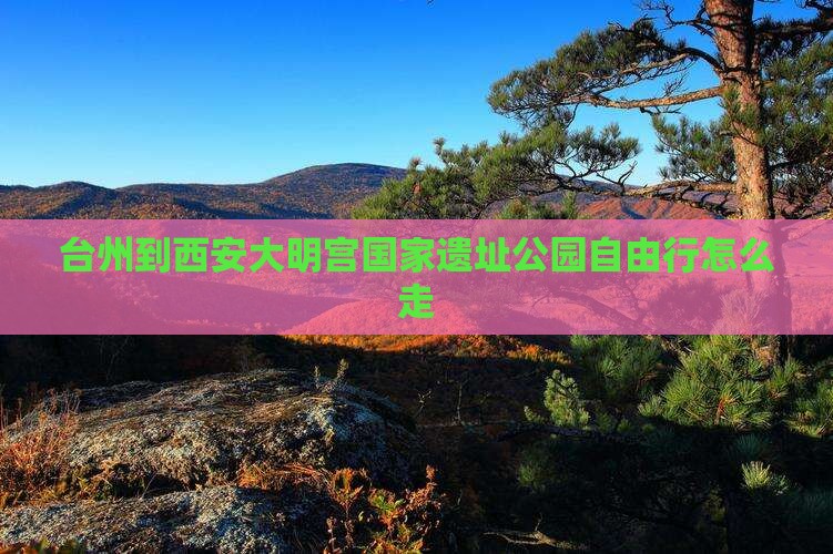 台州到西安大明宫国家遗址公园自由行