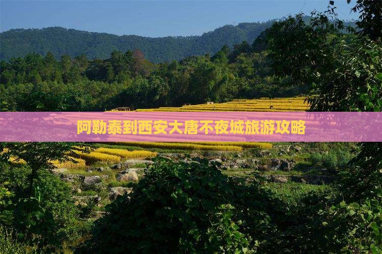 阿勒泰到西安大唐不夜城必去地