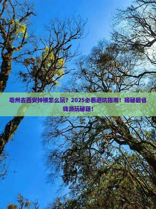 亳州去西安钟楼哪里玩