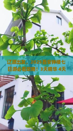 辽源到西安钟楼七日游