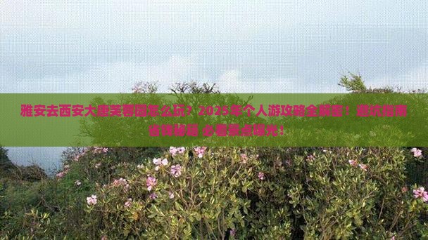雅安去西安大唐芙蓉园个人游