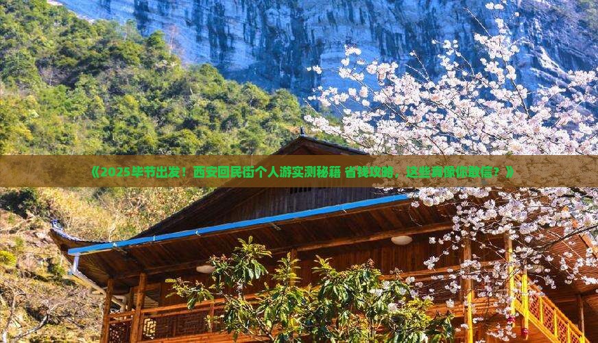 毕节到西安回民街个人游