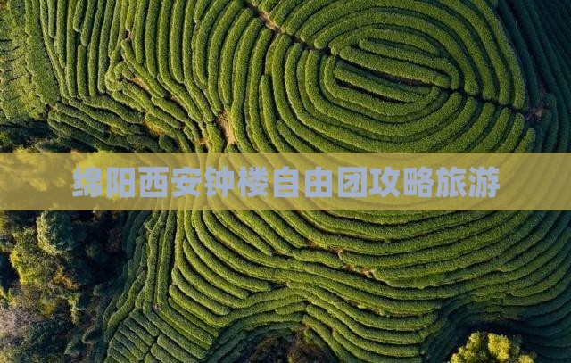 绵阳到西安钟楼自由团