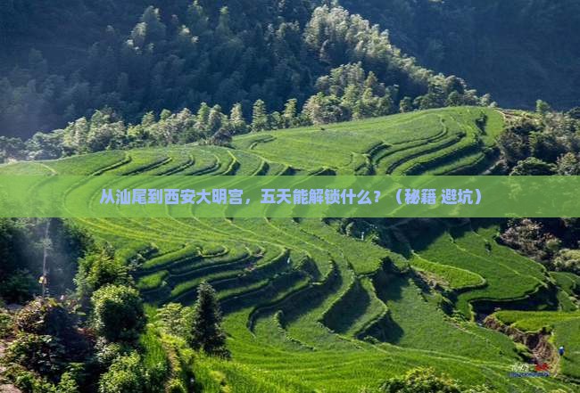 汕尾到西安大明宫国家遗址公园五日游