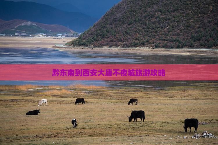 黔东南到西安大唐不夜城景点