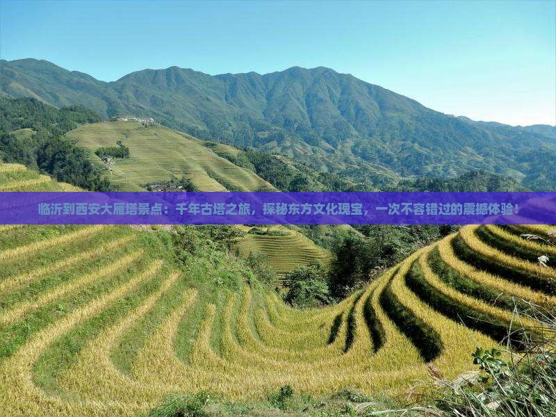 临沂到西安大雁塔景点
