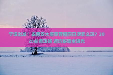 宁波去西安大唐芙蓉园四日游