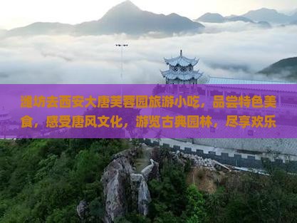 潍坊去西安大唐芙蓉园旅游小吃