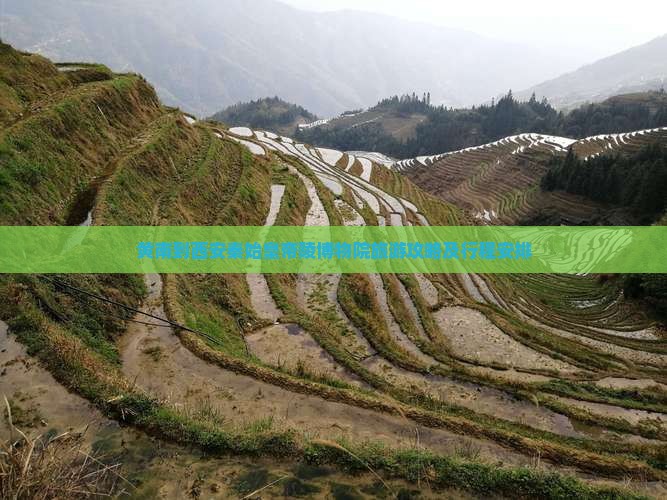 黄南到西安秦始皇帝陵博物院旅游