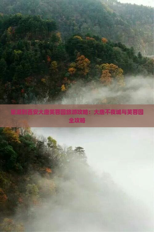 巢湖到西安大唐芙蓉园自由团