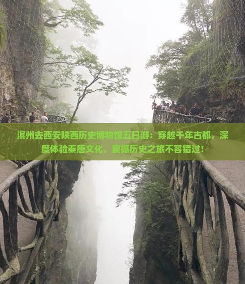 滨州去西安陕西历史博物馆五日游