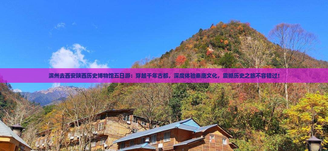 滨州去西安陕西历史博物馆五日游