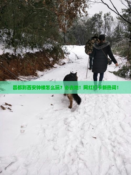 昌都到西安钟楼必去地