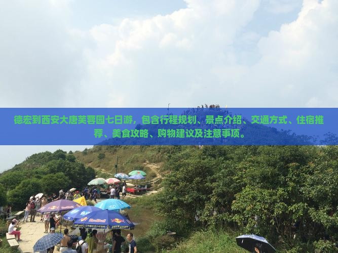 德宏到西安大唐芙蓉园七日游