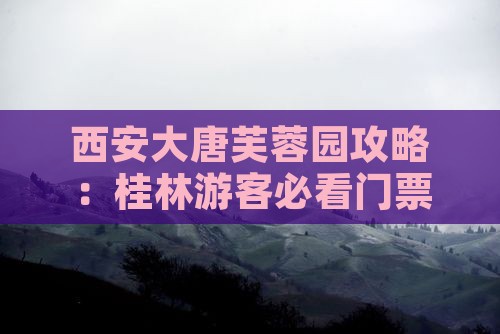 桂林去西安大唐芙蓉园门票
