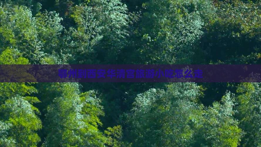 鄂州到西安华清宫旅游小吃