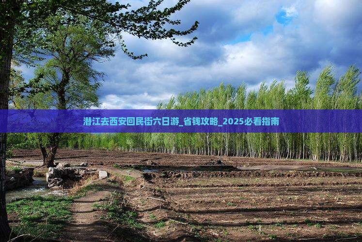 潜江去西安回民街六日游