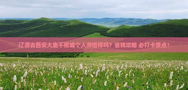 辽源去西安大唐不夜城个人游