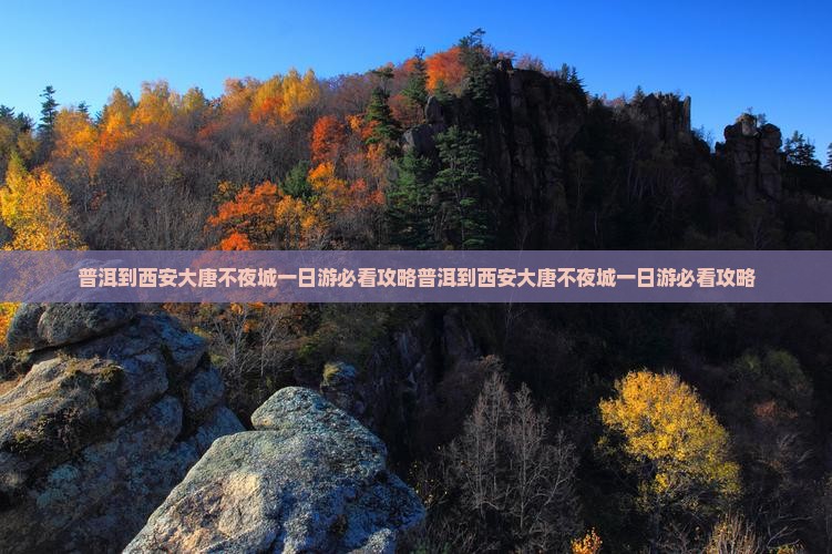 普洱到西安大唐不夜城一日游