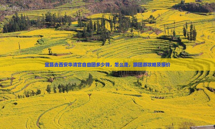 宜昌去西安华清宫自由团