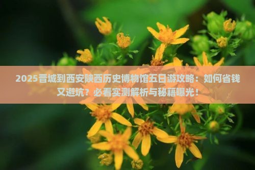 晋城到西安陕西历史博物馆五日游