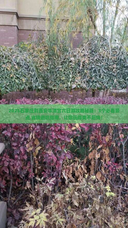 石家庄到西安华清宫六日游