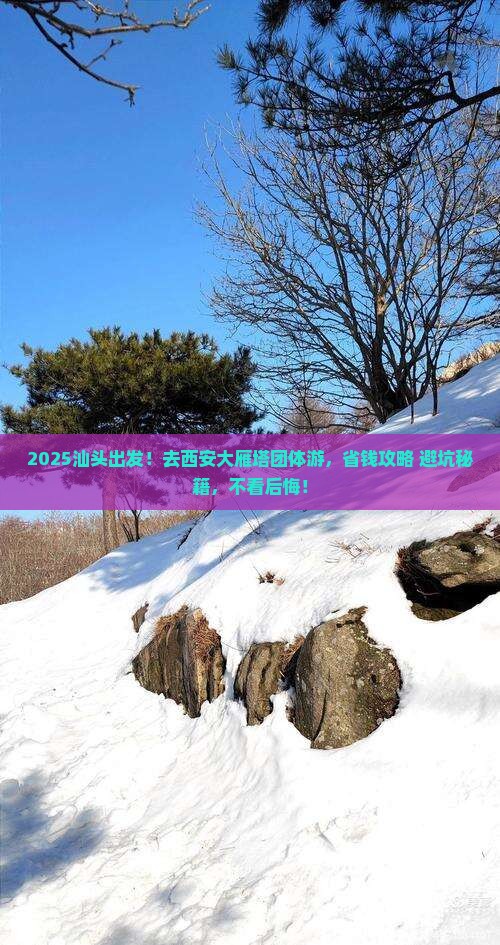 汕头到西安大雁塔团体旅游