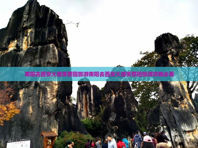 南阳去西安大唐芙蓉园旅游