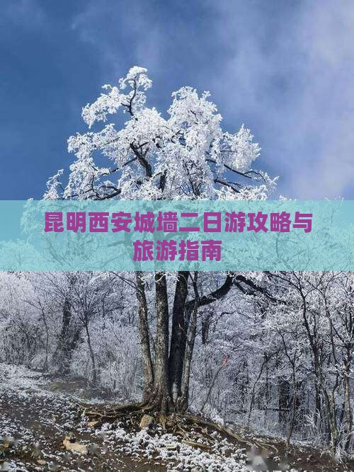 昆明去西安城墙二日游
