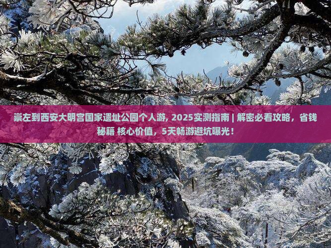 崇左到西安大明宫国家遗址公园个人游