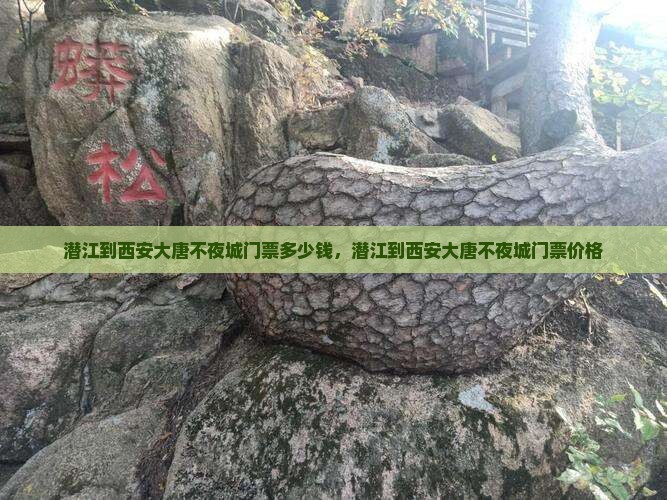 潜江到西安大唐不夜城门票