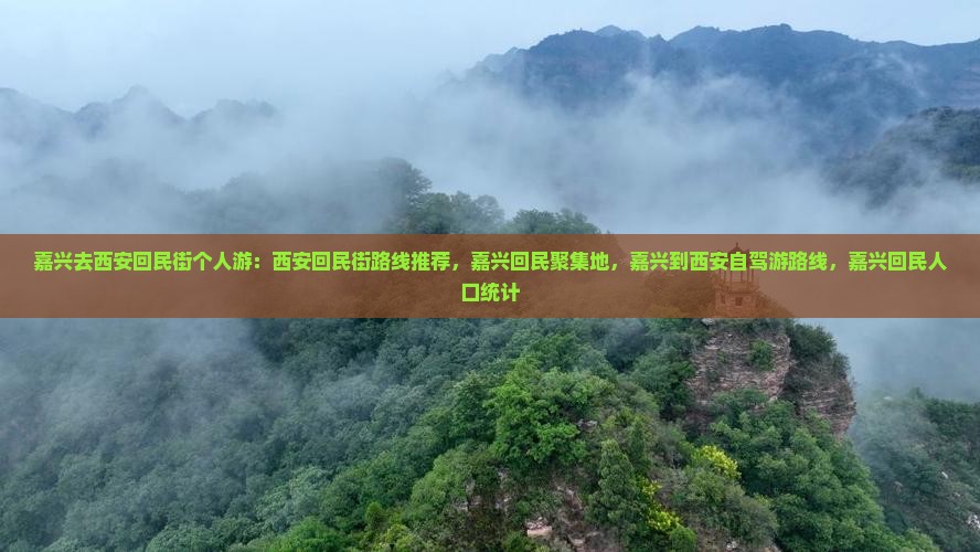 嘉兴去西安回民街个人游