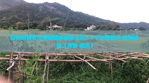 绥化到西安大雁塔团体旅游