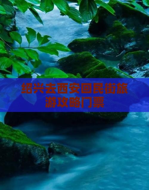 绍兴去西安回民街门票