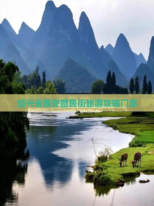 绍兴去西安回民街门票