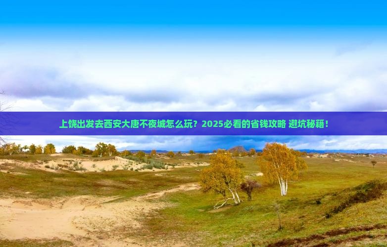上饶到西安大唐不夜城二日游