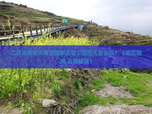 二月去西安大明宫国家遗址公园四日游