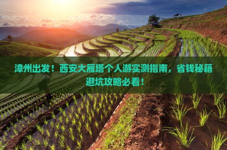 漳州去西安大雁塔个人游