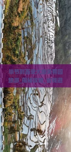 毕节到西安大唐芙蓉园旅游