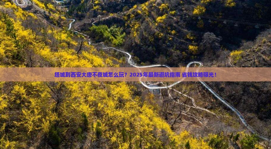 塔城到西安大唐不夜城景点