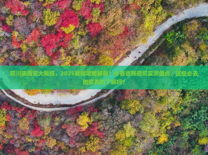 铜川到西安大雁塔必去地
