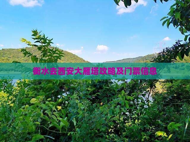 衡水去西安大雁塔门票