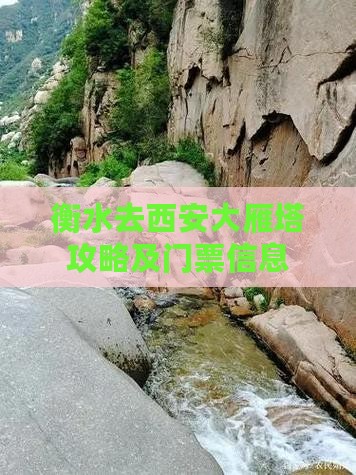 衡水去西安大雁塔门票