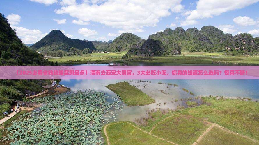 渭南去西安大明宫国家遗址公园旅游小吃