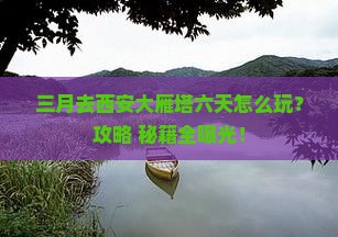 三月到西安大雁塔六日游 三月到西安大雁塔六日游