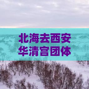 北海去西安华清宫团体旅游