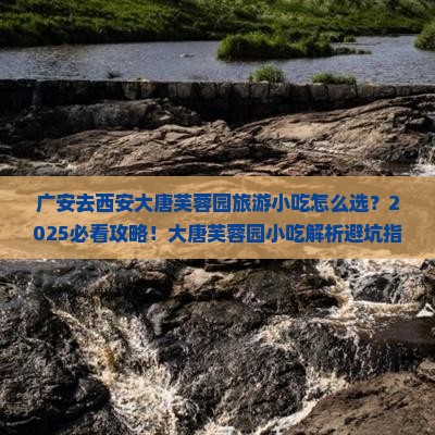 广安去西安大唐芙蓉园旅游小吃
