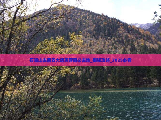 石嘴山去西安大唐芙蓉园必去地