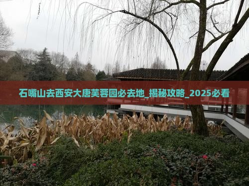 石嘴山去西安大唐芙蓉园必去地