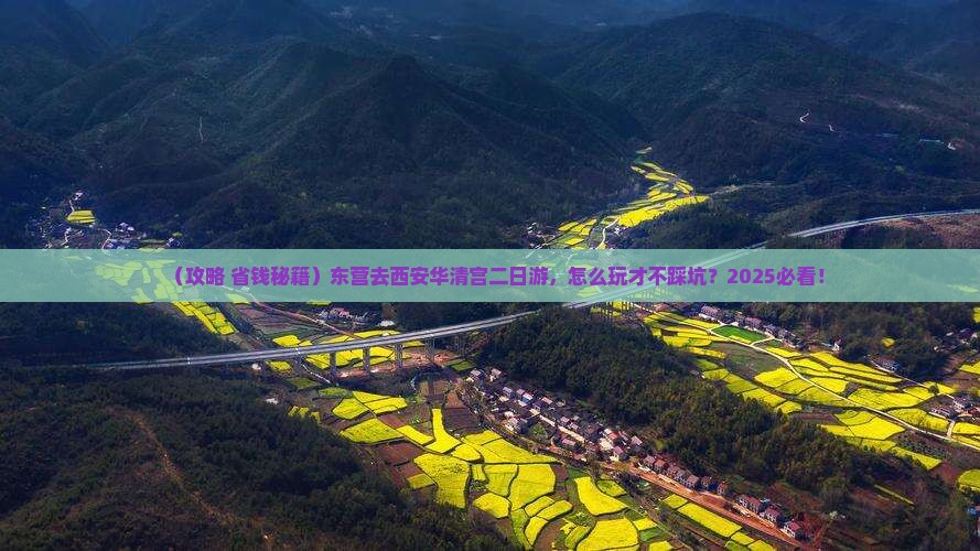 东营到西安华清宫二日游